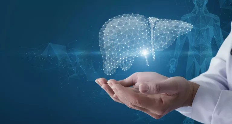 Combien de temps pour retrouver un foie sain ?